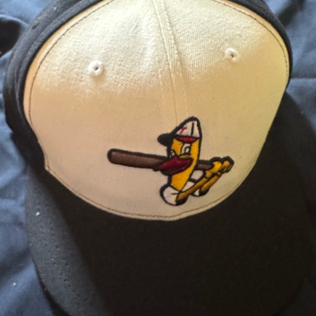 Toledo Mud Hens Hat